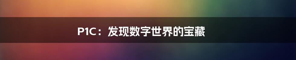 P1C：发现数字世界的宝藏