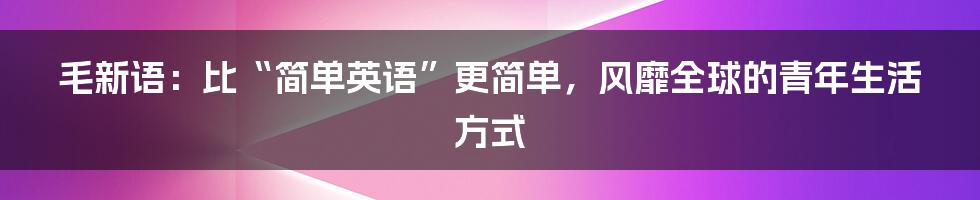 毛新语：比“简单英语”更简单，风靡全球的青年生活方式