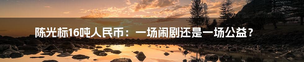 陈光标16吨人民币：一场闹剧还是一场公益？