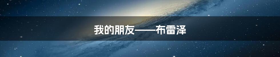 我的朋友——布雷泽