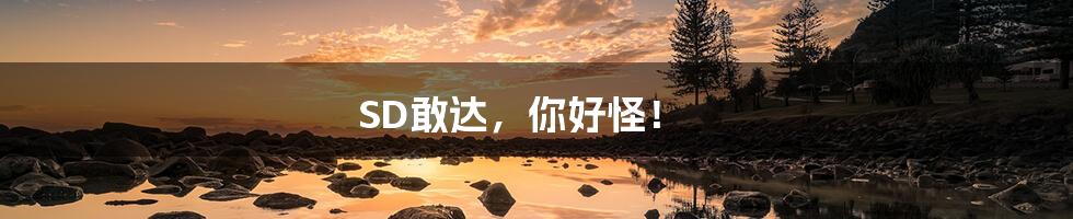 SD敢达,你好怪!
