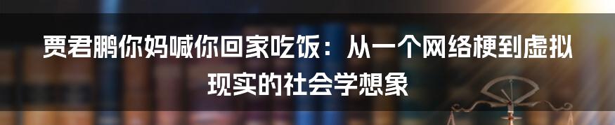 贾君鹏你妈喊你回家吃饭:从一个网络梗到虚拟现实的社会学想象
