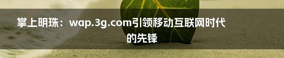 掌上明珠:wap.3g.com引领移动互联网时代的先锋