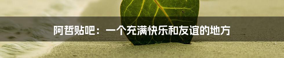阿哲贴吧:一个充满快乐和友谊的地方