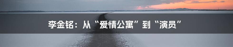 李金铭:从“爱情公寓”到“演员”