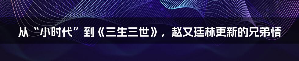 从“小时代”到《三生三世》，赵又廷林更新的兄弟情