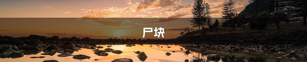 尸块