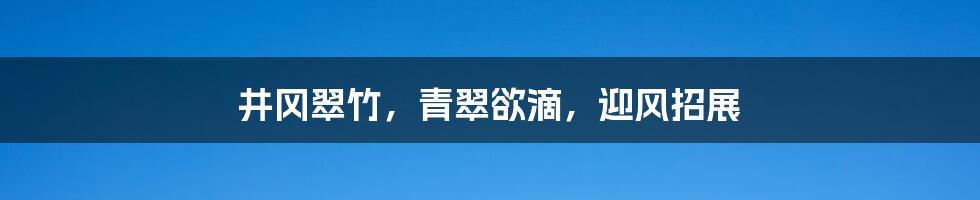 井冈翠竹，青翠欲滴，迎风招展