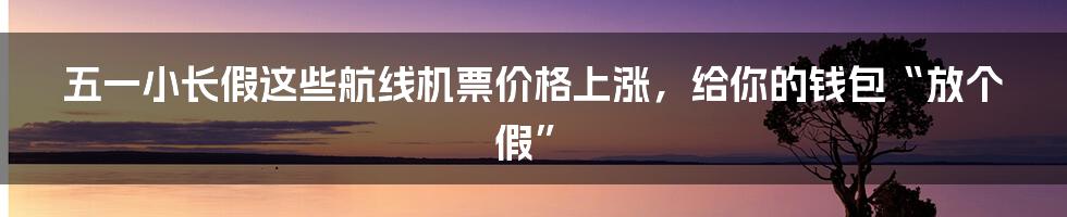五一小长假这些航线机票价格上涨，给你的钱包“放个假”
