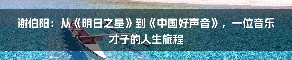 谢伯阳:从《明日之星》到《中国好声音》,一位音乐才子的人生旅程