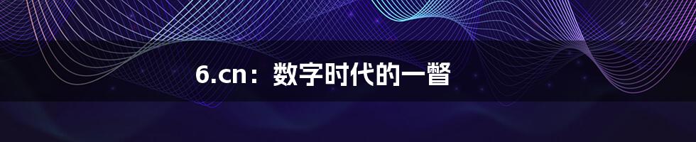 6.cn:数字时代的一瞥