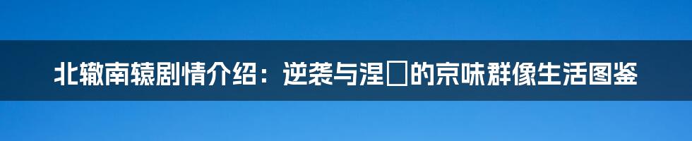 北辙南辕剧情介绍：逆袭与涅槃的京味群像生活图鉴