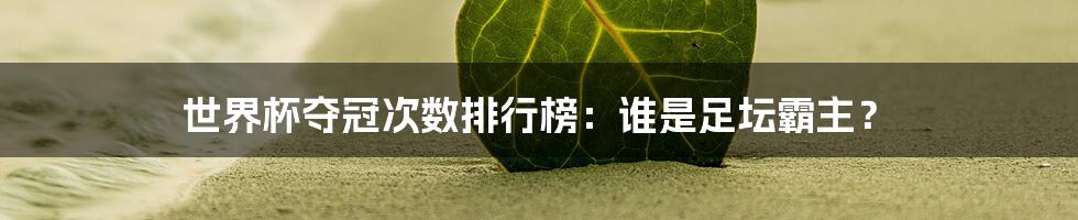 世界杯夺冠次数排行榜:谁是足坛霸主?