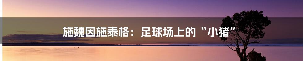 施魏因施泰格:足球场上的“小猪”