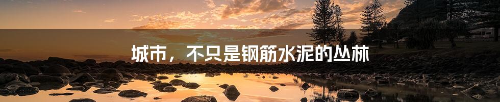 城市,不只是钢筋水泥的丛林