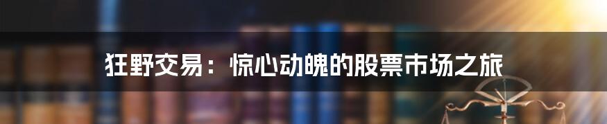 狂野交易:惊心动魄的股票市场之旅