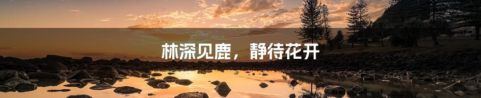 林深见鹿,静待花开