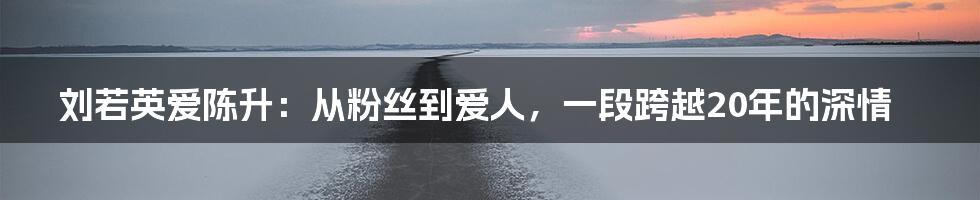 刘若英爱陈升:从粉丝到爱人,一段跨越20年的深情