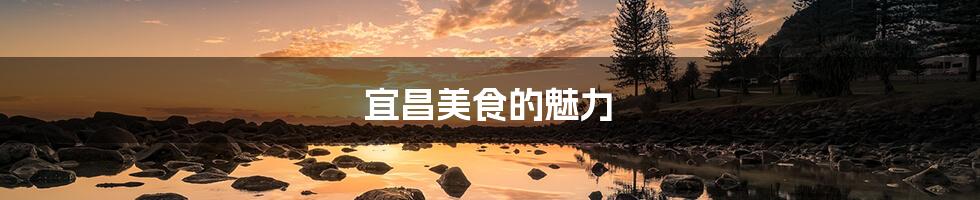 宜昌美食的魅力