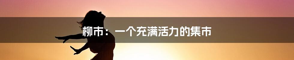 柳市:一个充满活力的集市