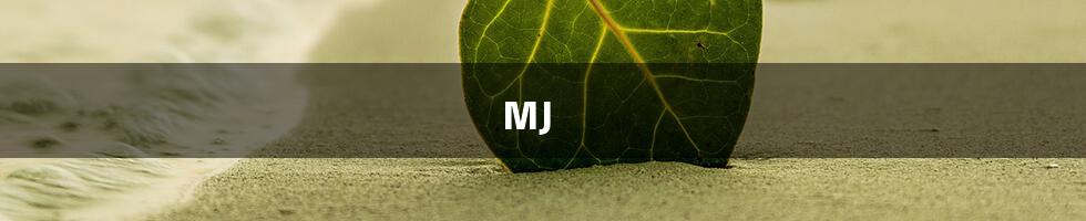 MJ