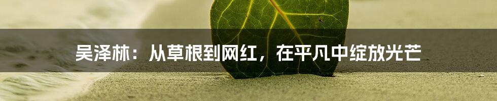 吴泽林：从草根到网红，在平凡中绽放光芒