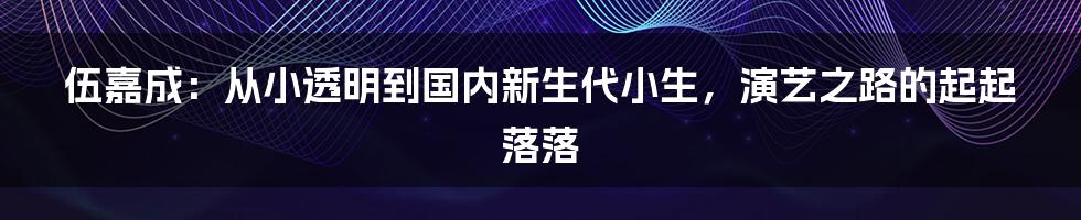伍嘉成:从小透明到国内新生代小生,演艺之路的起起落落