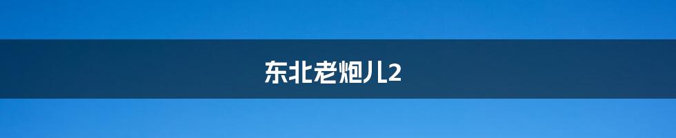 东北老炮儿2