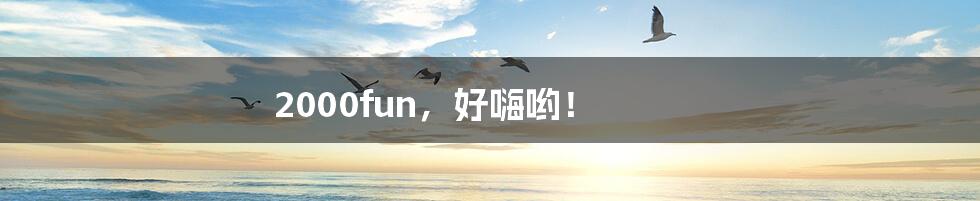 2000fun,好嗨哟!