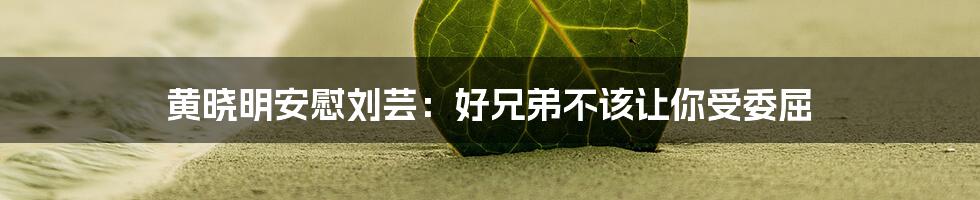 黄晓明安慰刘芸:好兄弟不该让你受委屈