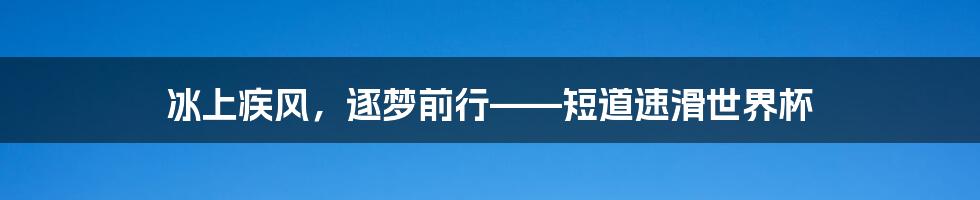 冰上疾风，逐梦前行——短道速滑世界杯