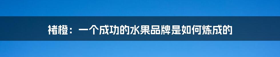 褚橙:一个成功的水果品牌是如何炼成的
