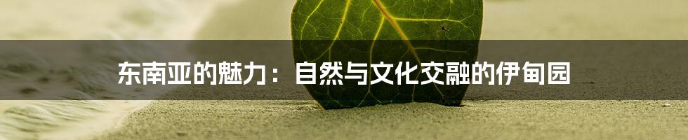东南亚的魅力:自然与文化交融的伊甸园