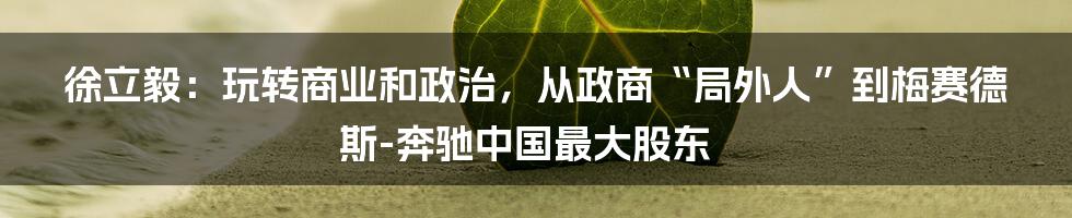 徐立毅:玩转商业和政治,从政商“局外人”到梅赛德斯-奔驰中国最大股东