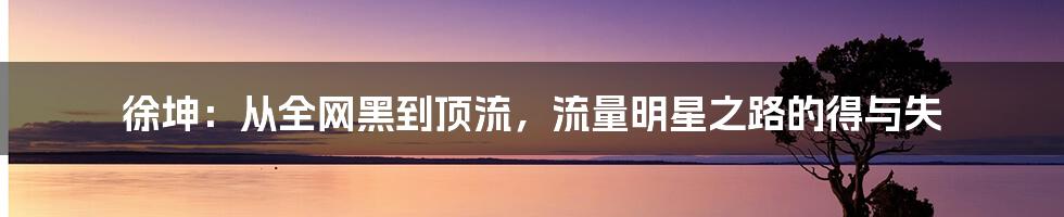 徐坤：从全网黑到顶流，流量明星之路的得与失