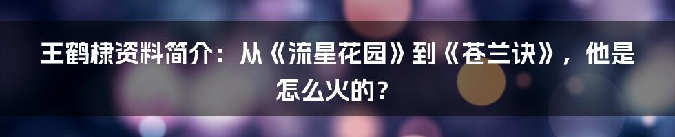 王鹤棣资料简介：从《流星花园》到《苍兰诀》，他是怎么火的？