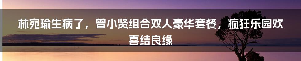 林宛瑜生病了,曾小贤组合双人豪华套餐,疯狂乐园欢喜结良缘
