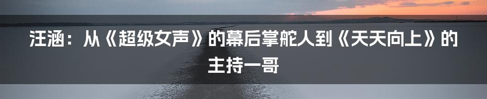 汪涵:从《超级女声》的幕后掌舵人到《天天向上》的主持一哥