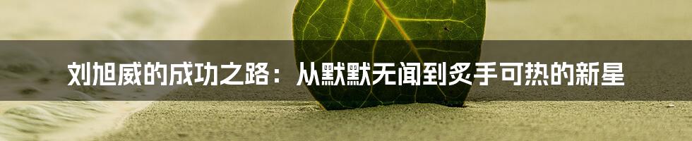 刘旭威的成功之路：从默默无闻到炙手可热的新星