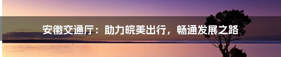 安徽交通厅：助力皖美出行，畅通发展之路