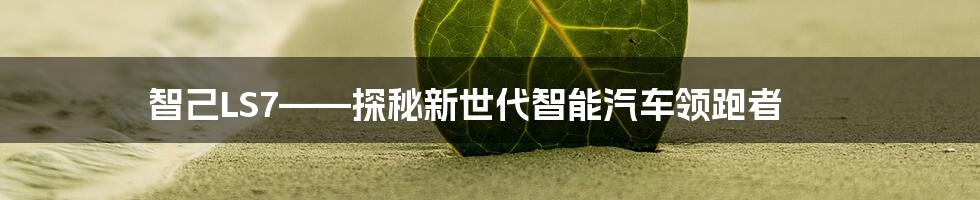 智己LS7——探秘新世代智能汽车领跑者