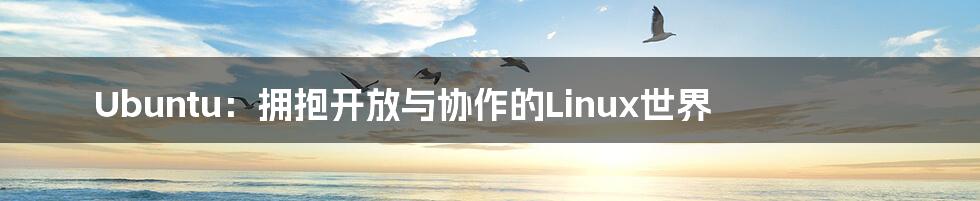 Ubuntu：拥抱开放与协作的Linux世界
