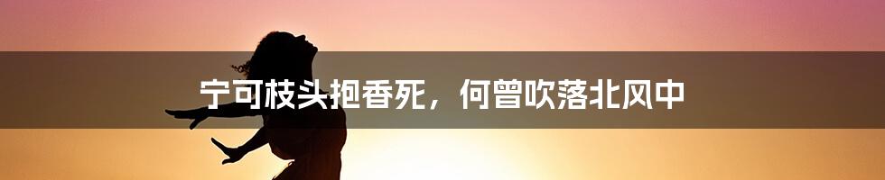 宁可枝头抱香死，何曾吹落北风中