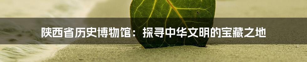 陕西省历史博物馆:探寻中华文明的宝藏之地
