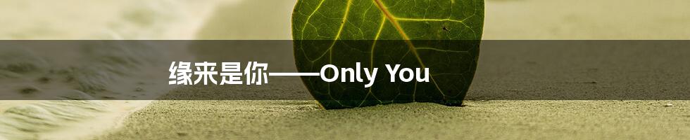 缘来是你——Only You