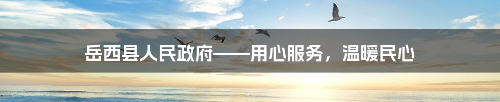 岳西县人民政府——用心服务,温暖民心