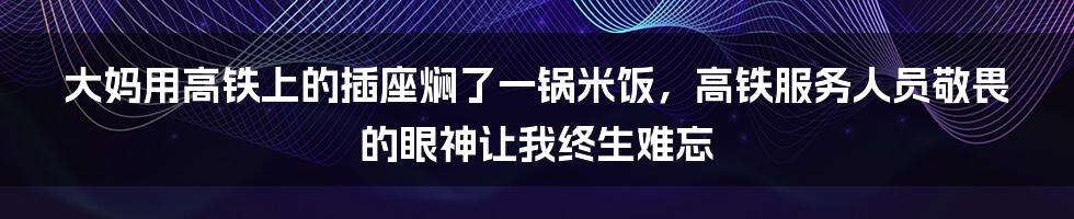 大妈用高铁上的插座焖了一锅米饭，高铁服务人员敬畏的眼神让我终生难忘