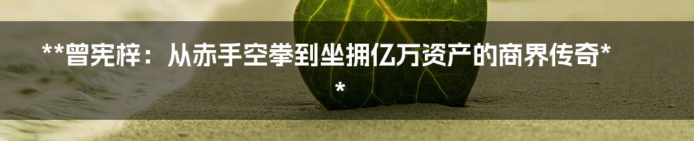 **曾宪梓：从赤手空拳到坐拥亿万资产的商界传奇**