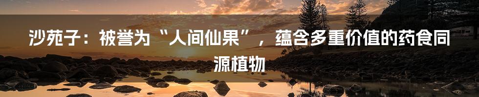 沙苑子：被誉为“人间仙果”，蕴含多重价值的药食同源植物