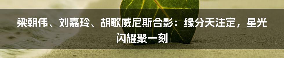 梁朝伟、刘嘉玲、胡歌威尼斯合影:缘分天注定,星光闪耀聚一刻